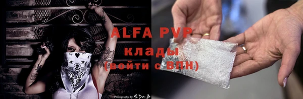 сатива Волосово