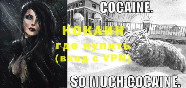 дживик Володарск