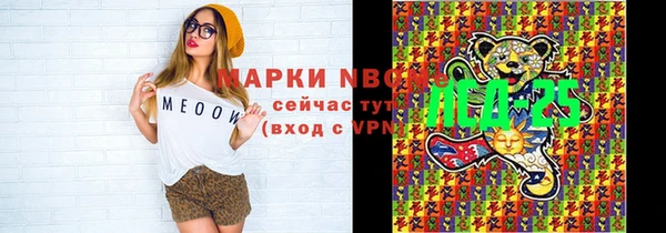дживик Володарск