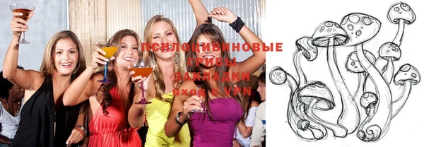 ешки Волоколамск