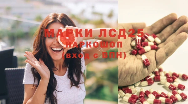 сатива Волосово